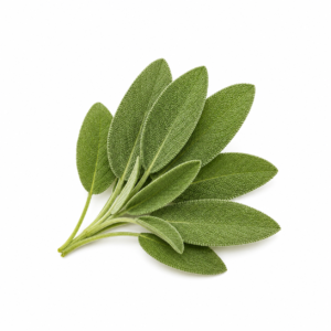 Salvia Folhas Premium