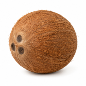 Coco Seco
