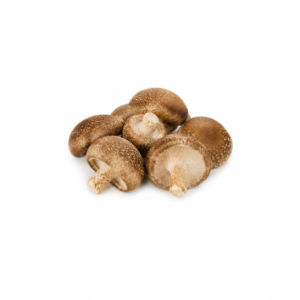 Shitake
