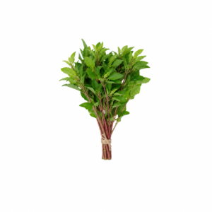 Vinagreira