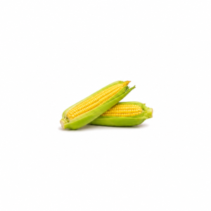 Milho Verde