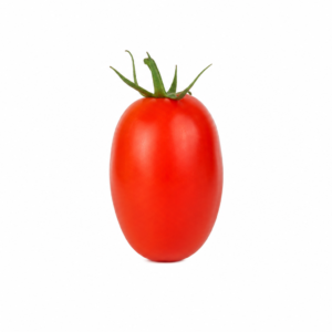 Tomate Italiano