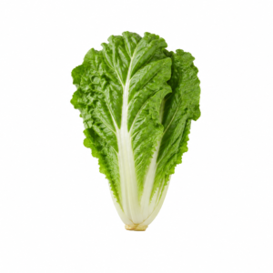 Acelga Crespa