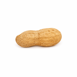 Amendoim Cru c/Casca