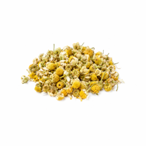 Camomila Flor
