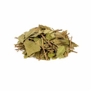 Canela de Velho